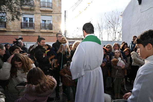 SanAnton-Miguelturra-Ene-2026-80