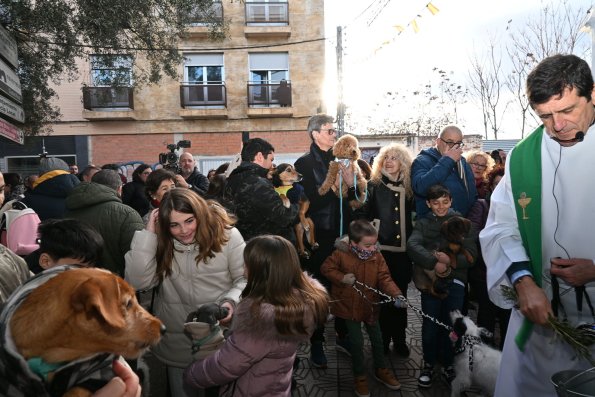 SanAnton-Miguelturra-Ene-2026-81