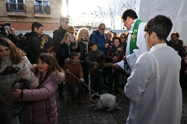 SanAnton-Miguelturra-Ene-2026-82