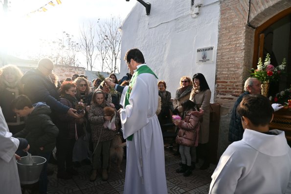 SanAnton-Miguelturra-Ene-2026-86