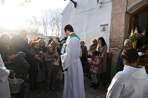 SanAnton-Miguelturra-Ene-2026-86