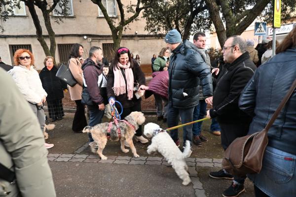 SanAnton-Miguelturra-Ene-2026-90