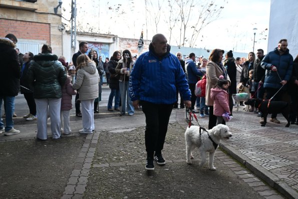 SanAnton-Miguelturra-Ene-2026-95