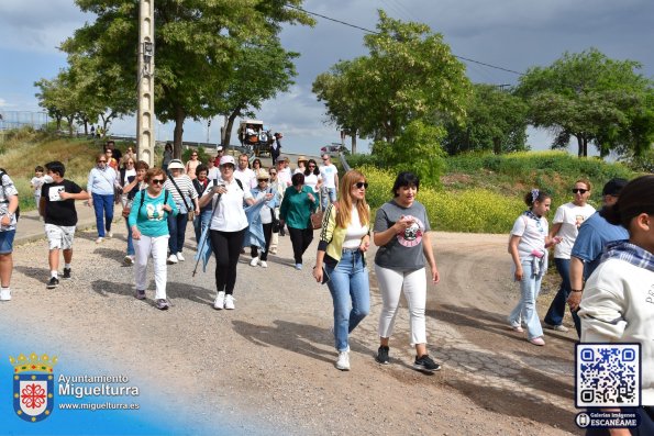 romeria-san-isidro-2025-Fuente imagen Area Comunicación Ayuntamiento de Miguelturra-086