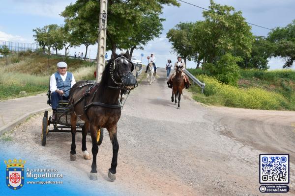 romeria-san-isidro-2025-Fuente imagen Area Comunicación Ayuntamiento de Miguelturra-096