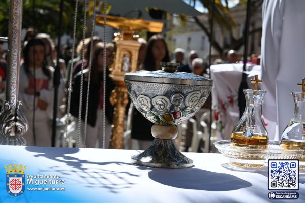 domingoramosmiguelturra2026-Fuente imagen Area Comunicación Ayuntamiento de Miguelturra-041