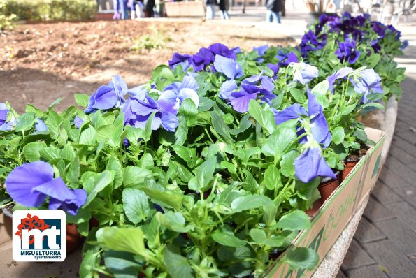 flores violetas-2023-11-24-Fuente imagen Área de Comunicación Ayuntamiento Miguelturra-003