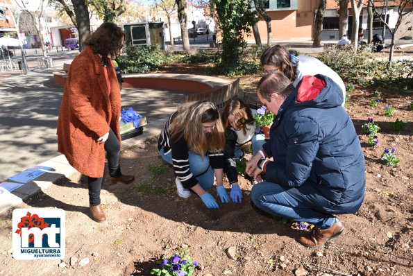 flores violetas-2023-11-24-Fuente imagen Área de Comunicación Ayuntamiento Miguelturra-106