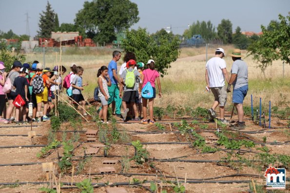 Dia del Medio Ambiente-2015-06-05-fuente Area de Comunicación Municipal-051