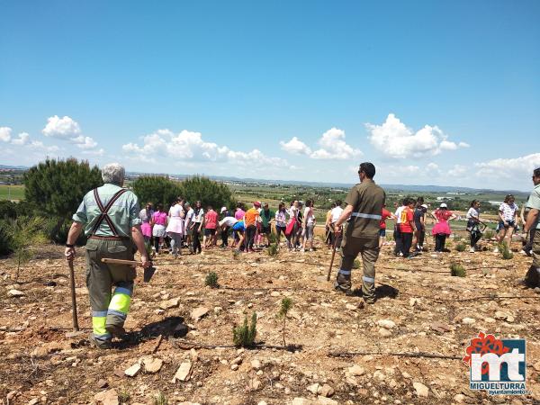 Escolares en San Isidro-Dia del Arbol-2019-Fuente imagen Area de Medio Ambiente del Ayuntamiento Miguelturra-019