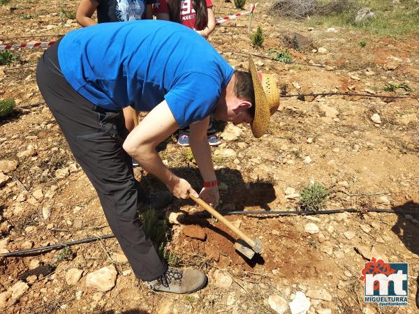 Escolares en San Isidro-Dia del Arbol-2019-Fuente imagen Area de Medio Ambiente del Ayuntamiento Miguelturra-022