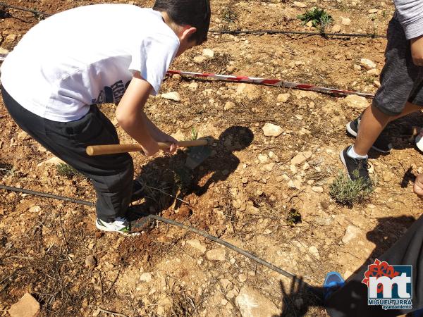 Escolares en San Isidro-Dia del Arbol-2019-Fuente imagen Area de Medio Ambiente del Ayuntamiento Miguelturra-024