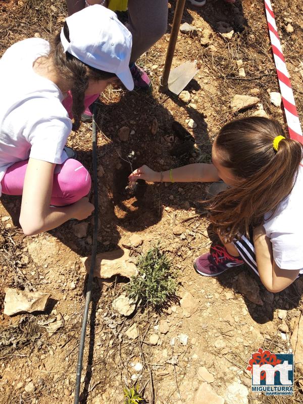 Escolares en San Isidro-Dia del Arbol-2019-Fuente imagen Area de Medio Ambiente del Ayuntamiento Miguelturra-027