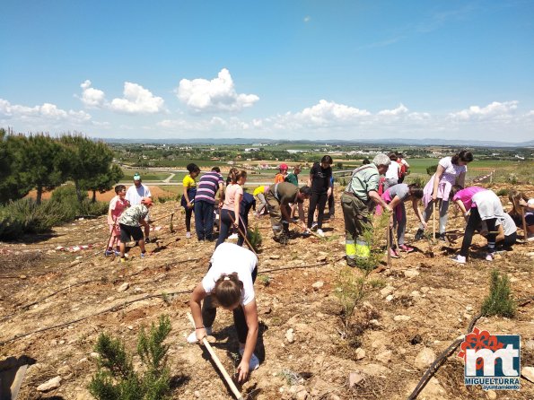Escolares en San Isidro-Dia del Arbol-2019-Fuente imagen Area de Medio Ambiente del Ayuntamiento Miguelturra-035