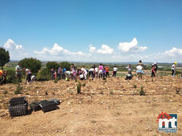Escolares en San Isidro-Dia del Arbol-2019-Fuente imagen Area de Medio Ambiente del Ayuntamiento Miguelturra-037