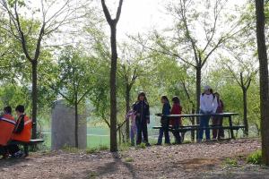 día del árbol 2009
