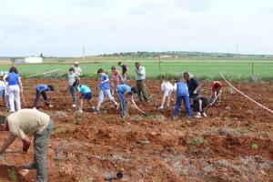 Día del Árbol 2010