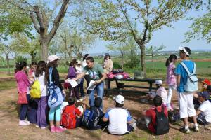 Día del Árbol 2011