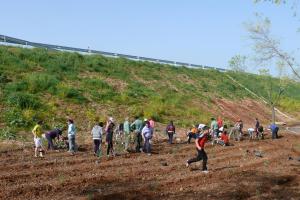 Día del Árbol 2011
