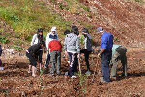 Día del Árbol 2011