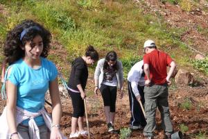Día del Árbol 2011