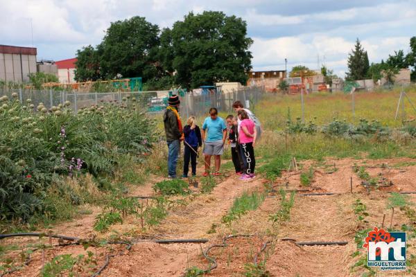 Dia del Medio Ambiente 2018- en el huerto agroecologico-Fuente imagen Area Comunicacion Ayuntamiento Miguelturra-001