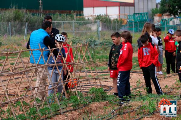 Dia del Medio Ambiente 2018- en el huerto agroecologico-Fuente imagen Area Comunicacion Ayuntamiento Miguelturra-002