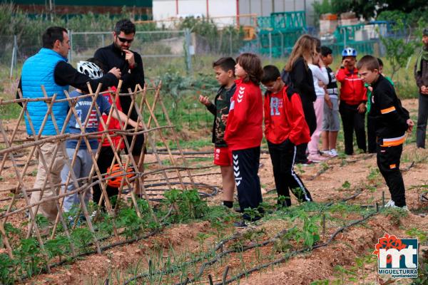 Dia del Medio Ambiente 2018- en el huerto agroecologico-Fuente imagen Area Comunicacion Ayuntamiento Miguelturra-003