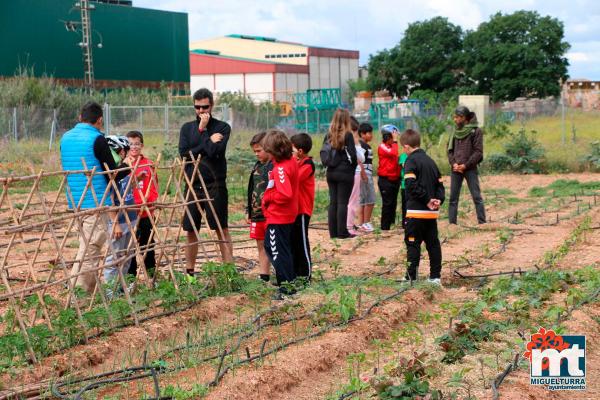 Dia del Medio Ambiente 2018- en el huerto agroecologico-Fuente imagen Area Comunicacion Ayuntamiento Miguelturra-005