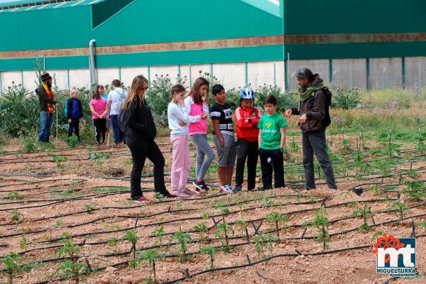 Dia del Medio Ambiente 2018- en el huerto agroecologico-Fuente imagen Area Comunicacion Ayuntamiento Miguelturra-006