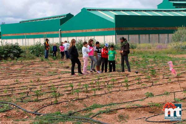 Dia del Medio Ambiente 2018- en el huerto agroecologico-Fuente imagen Area Comunicacion Ayuntamiento Miguelturra-007