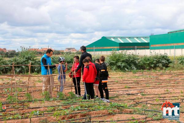 Dia del Medio Ambiente 2018- en el huerto agroecologico-Fuente imagen Area Comunicacion Ayuntamiento Miguelturra-008