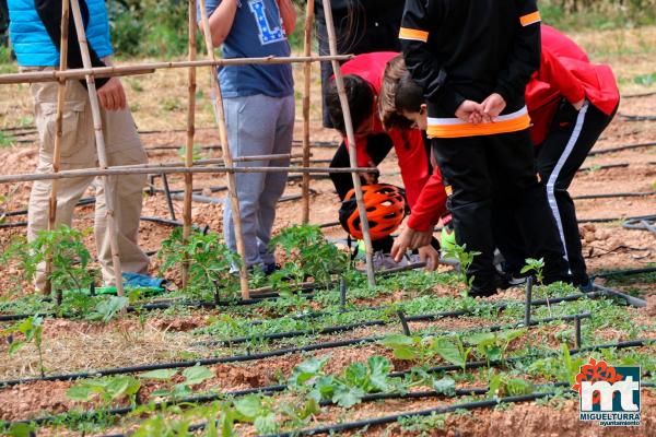 Dia del Medio Ambiente 2018- en el huerto agroecologico-Fuente imagen Area Comunicacion Ayuntamiento Miguelturra-009