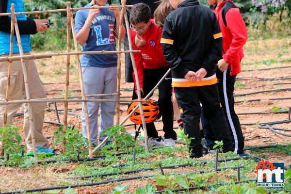 Dia del Medio Ambiente 2018- en el huerto agroecologico-Fuente imagen Area Comunicacion Ayuntamiento Miguelturra-010