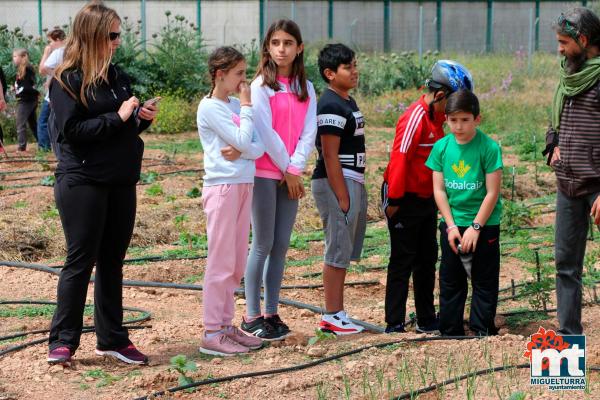 Dia del Medio Ambiente 2018- en el huerto agroecologico-Fuente imagen Area Comunicacion Ayuntamiento Miguelturra-016