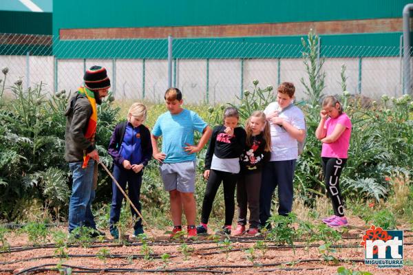 Dia del Medio Ambiente 2018- en el huerto agroecologico-Fuente imagen Area Comunicacion Ayuntamiento Miguelturra-017