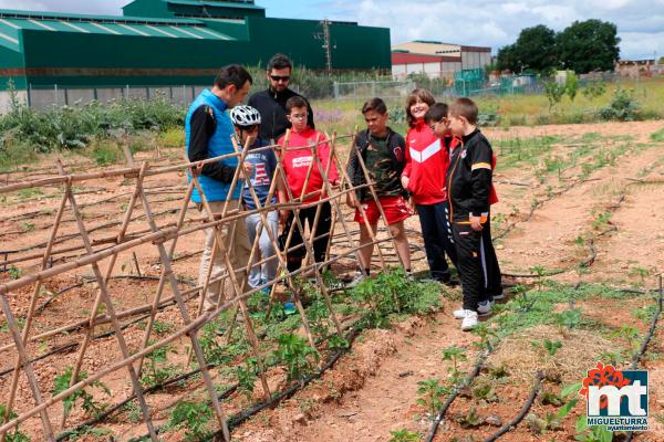 Dia del Medio Ambiente 2018- en el huerto agroecologico-Fuente imagen Area Comunicacion Ayuntamiento Miguelturra-018