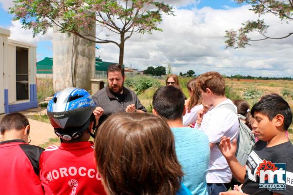 Dia del Medio Ambiente 2018- en el huerto agroecologico-Fuente imagen Area Comunicacion Ayuntamiento Miguelturra-019