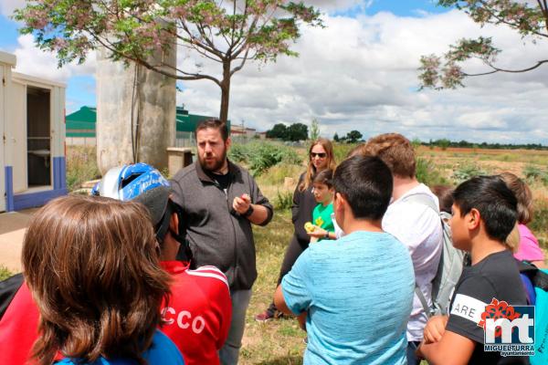 Dia del Medio Ambiente 2018- en el huerto agroecologico-Fuente imagen Area Comunicacion Ayuntamiento Miguelturra-020