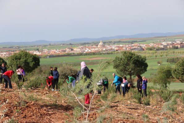 Dia del Arbol 2015 en Miguelturra-2015-04-08-fuente Area Comunicacion Municipal-53