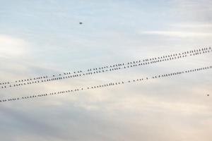 naturaleza y paisajes de Peralvillo