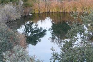 naturaleza y paisajes de Peralvillo