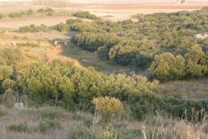 naturaleza y paisajes de Peralvillo