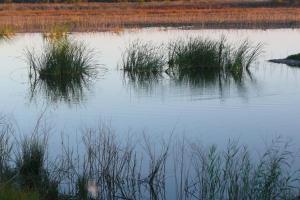 naturaleza y paisajes de Peralvillo
