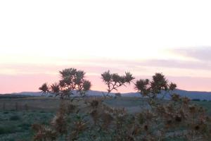 naturaleza y paisajes de Peralvillo