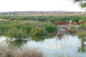 naturaleza y paisajes de Peralvillo