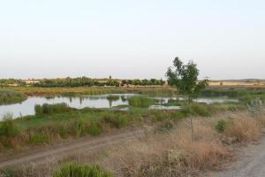 naturaleza y paisajes de Peralvillo