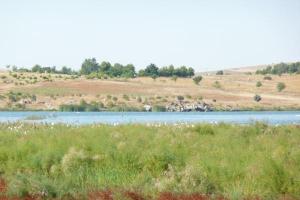 naturaleza y paisajes de Peralvillo