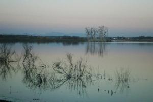 naturaleza y paisajes de Peralvillo