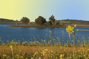 naturaleza y paisajes de Peralvillo
